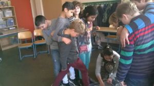 GSH-Coolness Training